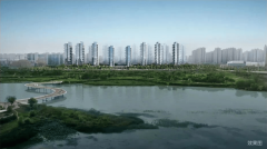 百年品牌为基石以湾区运营为蓝图